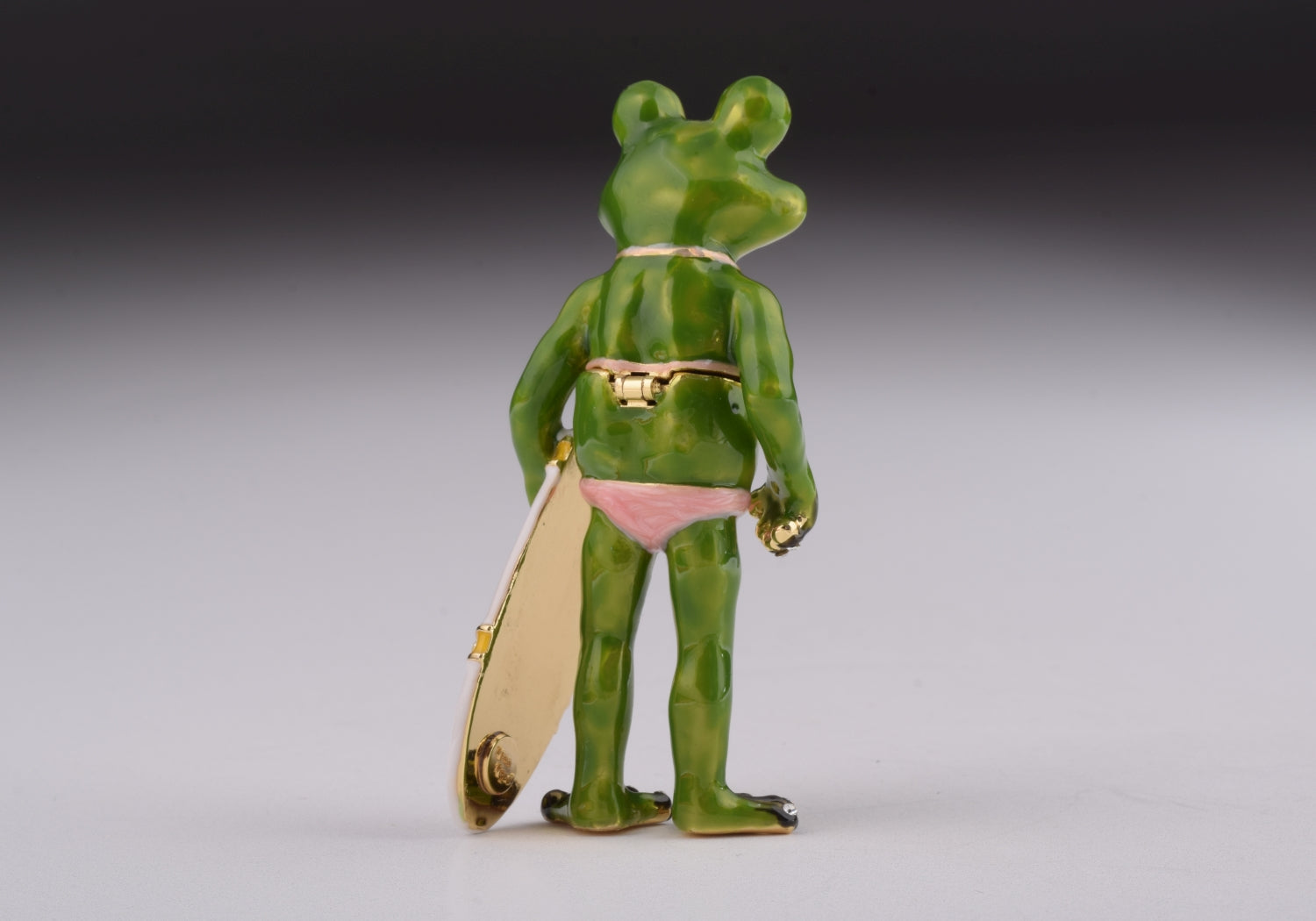 Frog Holding a Surfboard-4