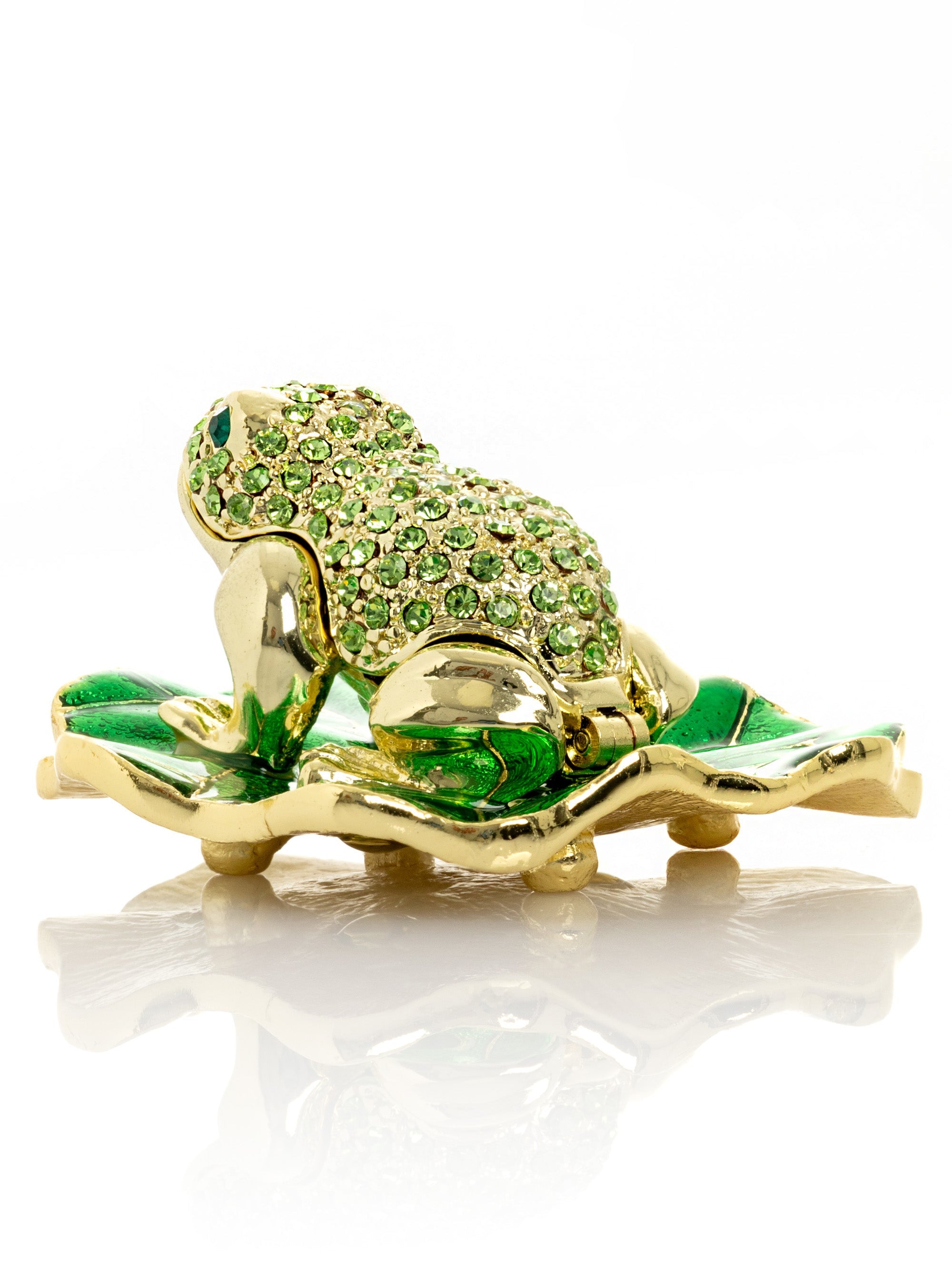 Golden Frog on Green Leaf-4