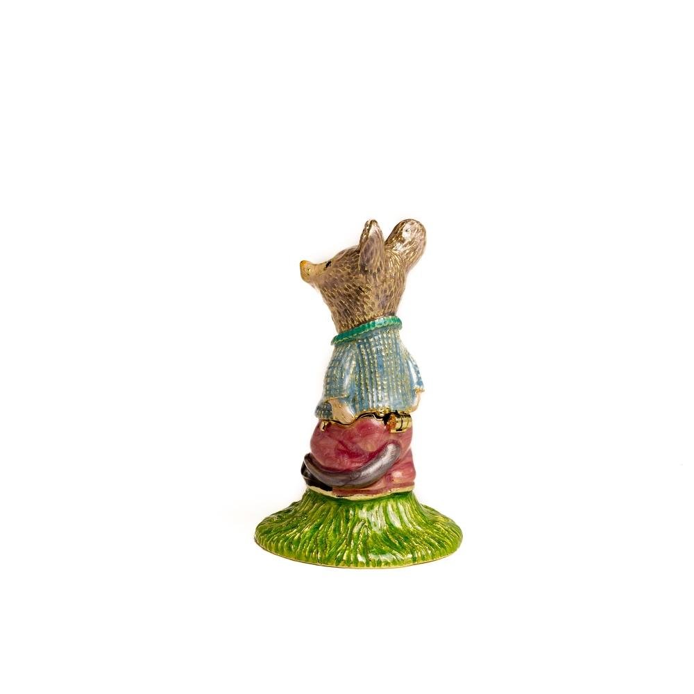 Baby Boy Mouse-3